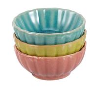 VICASKY 3 Pièces Bol pour Accessoires de Salon Spa pour Mélange Masques Design Rétro Élégant