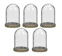 VICASKY 5 Ensembles DIY Micro Landscape Glass Dome with Tray Transparent Preserved Flower Cover for Home Decoration Smooth Surface Easy to Clean