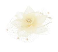 VICASKY Accessoires De Cheveux En Maille Accessoires De Cheveux De Fête De Mariage Pour Femmes Bandeau Femme Élégant Chic Formel Nuptiale Thé Fascinateur Coiffe Fascinateur Coiffe Femme