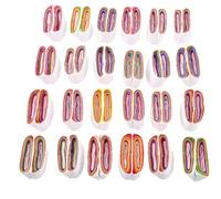 VICASKY Accessoires de Scène pour Tours de Magie 24 Pièces Papier Coloré Enroulé Autour Bouche, Gadget Amusant pour Spectacles, Fête et Animation, Papier à Spirales Buccales Multicolores