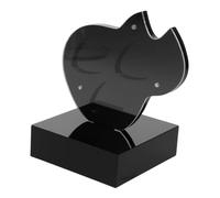 VICASKY Boîte de Rangement pour médiators Coupe d'affichage du Support de Guitare Organiseur pour médiators boîtier de Guitare Porte- portatif Acrylique Noir