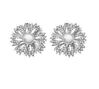 VICASKY Boucles de Chaussures Accessoires Décoratifs Élégantes en Cristaux et Perles Argentées Faciles à Installer Retirer pour Filles pour Fêtes et Photos de Rue