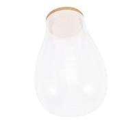 VICASKY Bouteille De Paysage De Bryophytes en Verre 20x14 Cm Bouchon en Liège pour Décoration Intérieure De Terrarium Et Station De Propagation des Plantes Écologique