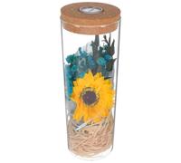 VICASKY Bouteille de Vœux Fleur Préservée Lumineuse en Plastique | Décoration Romantique pour Bureau et Mariage, Présent D'anniversaire, Ambiance Chaleureuse à Maison