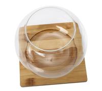 VICASKY Bouteille Micro-Paysage Créative Verre Pot Décoratif Transparent pour Plantes Succulentes Paysage Intérieur