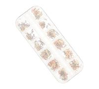 VICASKY Breloques pour Ongles Zodiaque Décorations Soi-même avec Lettres pour Fille Ornement pour Ongles Douze Constellations