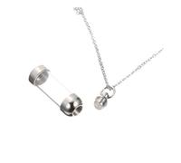 VICASKY Collier Commémoratif Inoxydable pour Animaux De Compagnie Pendentif pour Cendres Et Poils Bijou Souvenir Élégant Et pour Garder Un Souvenir De Votre Animal Réconfortant pour