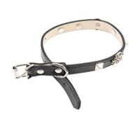 VICASKY Collier Punk pour Animaux de Compagnie Collier Halloween Réglable avec Motif de Crâne pour Chien et Chat Accessoire Pratique et Élégant pour Petits Animaux