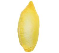 VICASKY Coussin Décoratif en Peluche Citron, Coussin De Fruits pour, Chaise, Siège De Sol, Coussins pour, Salle De Classe, Voyage Et Activités De Plein Air