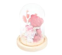 VICASKY Décoration Fleur Préservée D’Ours sous Cloche en Verre Petite Taille Compacte Présent Fête des Enseignants Ornement de Bureau Élégant et Solide Fleur Éternelle Unique