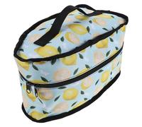 VICASKY Étui de Rangement pour Fer à Vapeur Portable avec Poignée, Housse Anti-poussière Imperméable Haute Densité, Compatible Défroisseur Électrique, Mallette Légère et Compacte