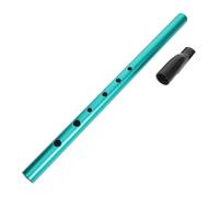 VICASKY Flûte Irlandaise C pour Garçon Fille Instrument à Vent Débutant Portable Pratique pour Cours de Musique et Orchestre Scolaire Design Traditionnel et Intonation Précise