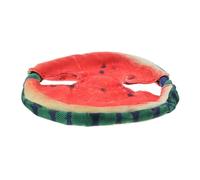 VICASKY Jouet pour Animaux de Compagnie Forme de Pastèque Jouet Flottant pour Chien Disque Volant Léger