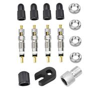 VICASKY Kit Noyaux de Valves Française Inoxydable pour Vélos VTT Tubeless Accessoires Durables et Légers pour Réparation et Conversion sans Chambre à Air