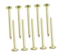 VICASKY Lot de 10 Clous de Mesure Galvanisés 7 Cm pour Points de Contrôle et Bornes D'arpentage Permanentes, Piquets de Repères pour Jardinage et Nivellement, Usage Terrain Extérieur