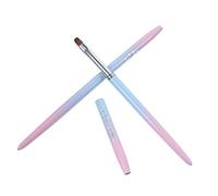 VICASKY Lot de 2 stylos de nail art - Outils de nail art - Gel - Vernis à - Outil de pointillage - Stylo à - Colle coupe- - Ligne de traction - Stylos laqués en