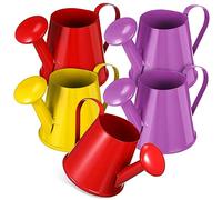 VICASKY Lot de 5 mini arrosoirs légers en métal pour enfants - Pour plantes et fer