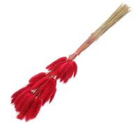 VICASKY Lot de 60 Queues de Lapin en Herbe Séchée Rouge Foncé, Décoration Intérieure Naturelle, Plante Séchée pour Composition DIY, Bouquet Mariage, Accessoire Décoratif Chaleureux