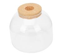 VICASKY Micro Landscape Bottle Terrarium DIY Kit with Cork Lid Compact Glass Storage Container for Moss Plants and Small Flowers Décor Smooth Surface Easy to Clean for Office and Home
