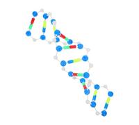 VICASKY Modèle d'Adn à Double Hélice Éducatif Kit de Modélisation Moléculaire Précis pour Laboratoire et École Outil Pédagogique en Génétique Compatible Cours de Biologie Structure