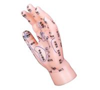 VICASKY Modèle de Main Acupuncture Chinoise avec Points Précis pour Réflexologie et Massage Outil Pédagogique Tcm pour Étude et Formation Médecine Traditionnelle