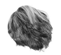 VICASKY Perruque Courte Grise Synthétique pour Homme Accessoire Costume Halloween Wig Cosplay pour Fête et Scène