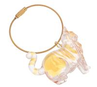 VICASKY Porte-Clés Capsule Transparente pour Poils de Chat Boîte de Rangement Compacte pour Poils D’Animaux Accessoire Souvenir Collectionneur pour Rangement Quotidien et Transport