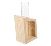 VICASKY Vase en verre hydroponique Vase à tube élégant pour la culture des plantes Vases à fleurs décoratifs pour le salon Design transparent