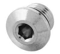 VICASKY Vis de Bouchon à Vis pour Détendeur de Plongée Premier Étage, en Laiton Chromé Robuste, Pièce de Rechange pour Port Basse Pression, Accessoire Léger et Résistant, Compatible