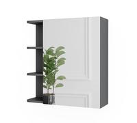 Vicco Armoire à Glace Fynn, Anthracite, 62x64cm