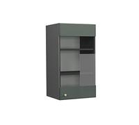 Vicco Armoire en Verre Fame-Line, Vert Or Campagne, 40cm, à Combiner avec d'autres modules de la série Fame-Line