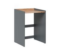 Vicco Armoire Machine à Laver Viktor, Anthracite/Chêne de Force doré, 67.8x94.6cm avec Bord