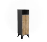 Vicco Armoire Midischrank Leano, Anthracite/Chêne de Montagne, 30x97cm avec Porte
