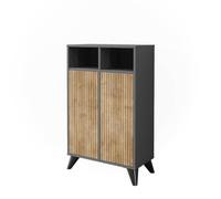 Vicco Armoire Midischrank Leano, Anthracite/Chêne de Montagne, 60x97cm avec 2 Portes, Convient pour Le Rangement des Accessoires de Salle de Bain et des Serviettes