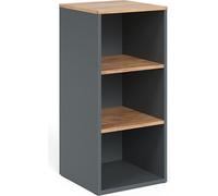 Vicco Armoire Midischrank Viktor, 40.2x88.2cm, Anthracite/chêne doré