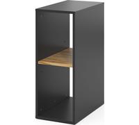 Vicco Armoire pour PC Tomy, 28.5x50cm ,2 compartiments, Anthracite/chêne doré