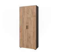 Vicco Armoire Universelle Ingo, Anthracite/chêne doré, 80x183.8cm, pour Le Rangement des dossiers et classeurs au Quotidien au Bureau