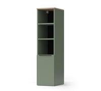 Vicco Armoire Universelle Wido, Vert, 30.2x120cm avec Une Porte