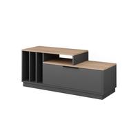 Vicco Buffet Bas Betti, Anthracite/Sonoma, 120x49.9cm avec 1 Porte, Convient aux téléviseurs jusqu'à 55 Pouces et aux Accessoires multimédias
