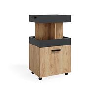 Vicco Caisson à roulettes, Chêne de Force doré, 50x88.6cm, sur roulettes, utilisable de manière Flexible comme Espace de Rangement supplémentaire