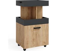 Vicco Caisson à roulettes Kamber, 50 x 89 cm, Chêne de force doré/Anthracite