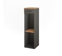 Vicco Casier à vin Repose, Chêne doré/Anthracite, 30x106cm | convient au rangement des bouteilles de vin et des livres