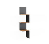 Vicco Étagère d'angle Paolo, Anthracite, 28x116.4cm, pouvant être monté pour Le Rangement de Livres et d’Objets de décoration
