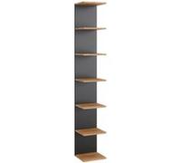 Vicco Étagère murale Paolo, Anthracite, 30x190cm Anthracite G