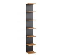 Vicco Étagère Murale Paolo, Anthracite, 30x190cm, pouvant être monté pour Le Rangement de Livres et d’Objets de décoration