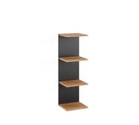 Vicco Étagère Murale Paolo, Anthracite, 30x95cm, pouvant être monté pour Le Rangement de Livres et d’Objets de décoration