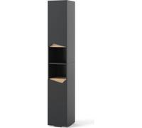 Vicco Meuble de Rangement de Salle de Bain Marelle, Anthracite/Anthracite, 30 x 180 cm avec Portes, et Compartiments Ouverts