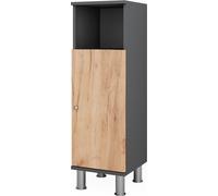 Vicco Meuble midischrank Fynn, 30x95cm, Anthracite/chêne doré