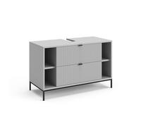 Vicco Meuble sous Vasque Simple Eliza, Gris, 100x63cm avec 2 tiroirs coulissants, pour Installation sous lavabo et Compatible avec la série Eliza