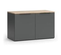 Vicco Sideboard Wido, 80x50cm avec 2 portes, Anthracite/Sonoma
